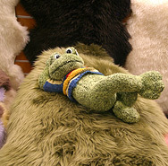 frog 188.jpg