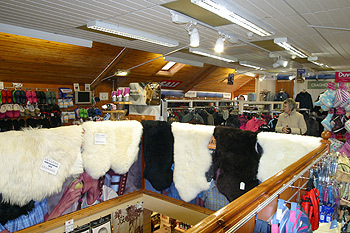 upper floor.jpg