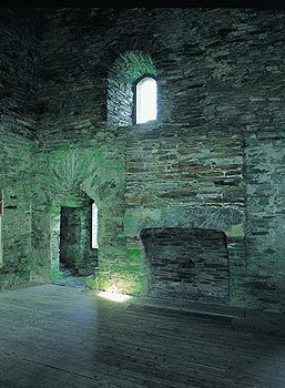 Dolwyddelan_Castle_02.jpg